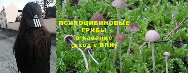 гашиш Богданович